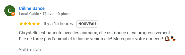 Témoignage massage canin