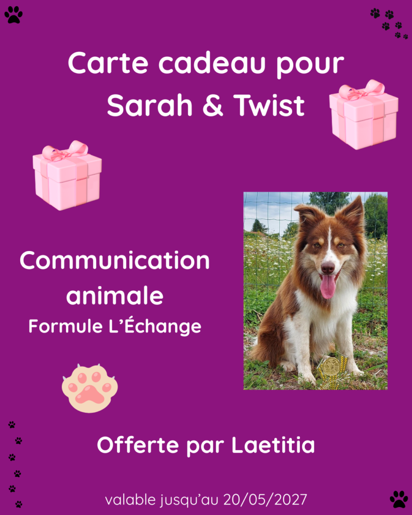 carte-cadeau-communication-animale-intuitive